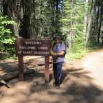 Hike to the Giant Sequoia’s